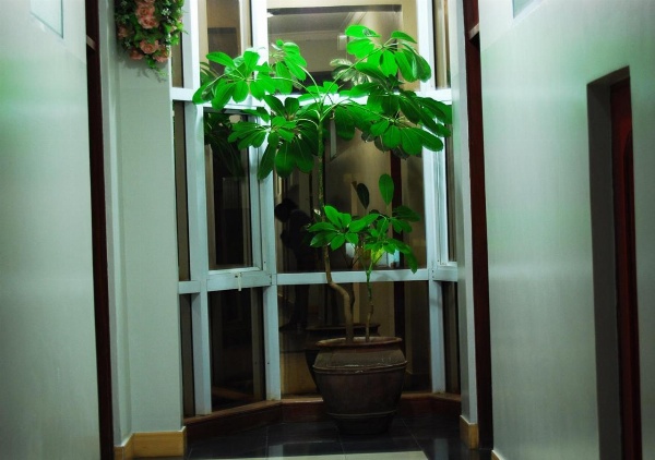 Mc-Elly's Hotel image 7